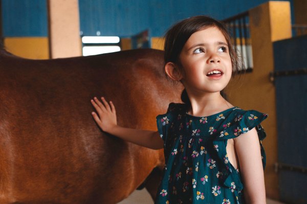Qu'est-ce que l'équitation adaptée ? 