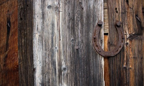 Le fer à cheval, le porte bonheur dans l'équitation